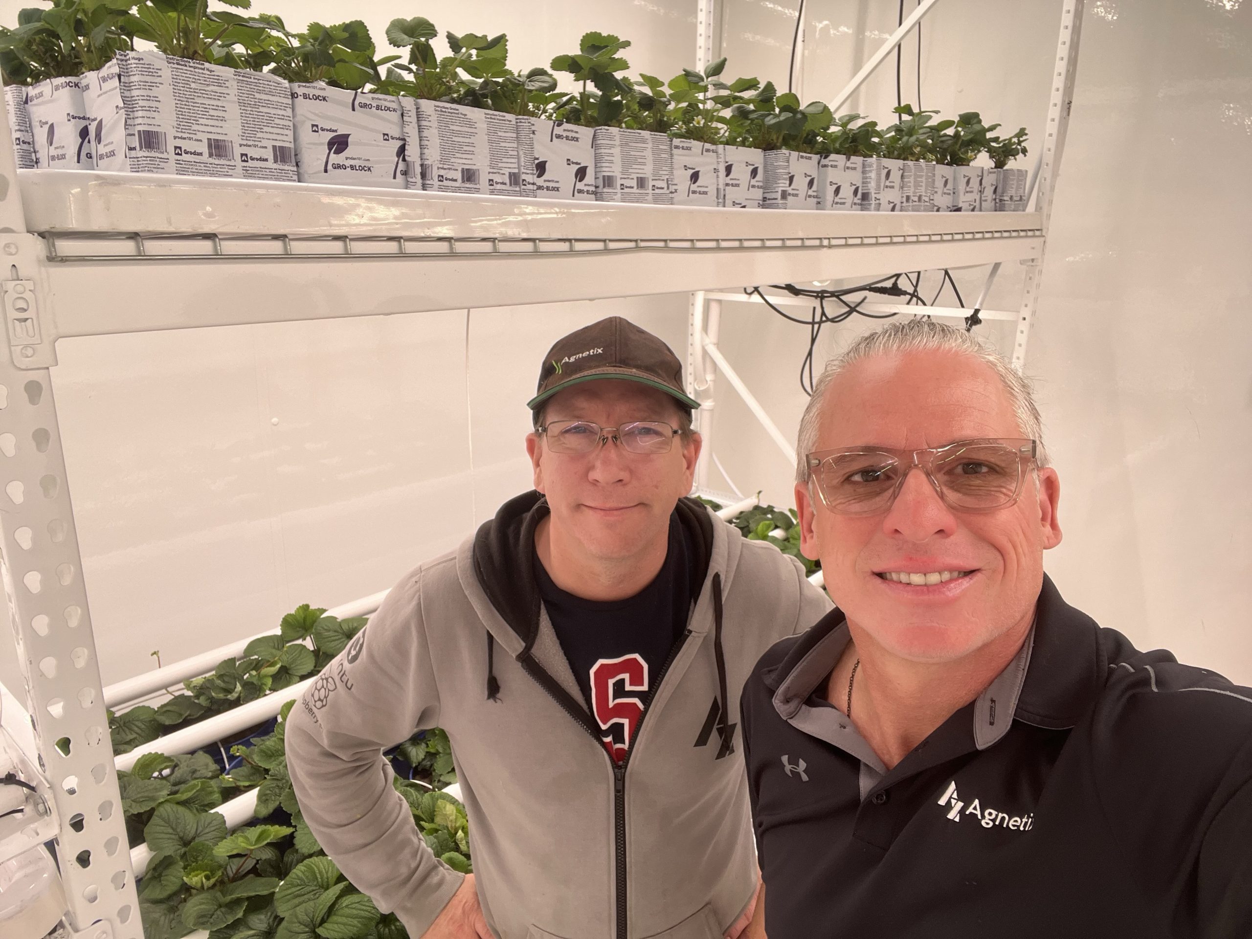 Revolutionizing Indoor Agriculture: Growing Strawberries and Lettuce ...